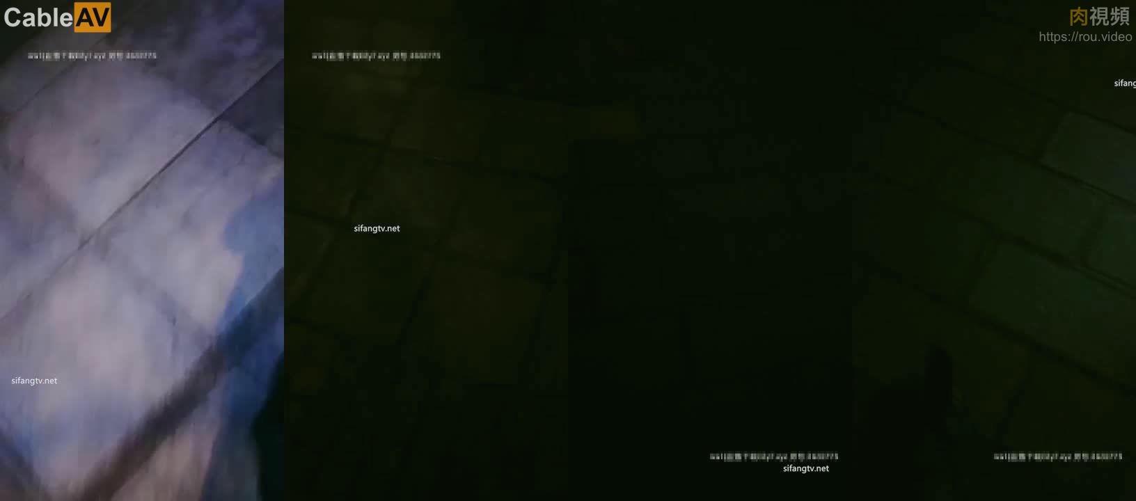 全国探花 200810 12292